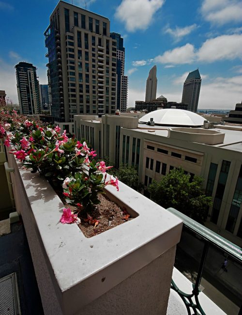 San Diego Downtown Homes For Sale