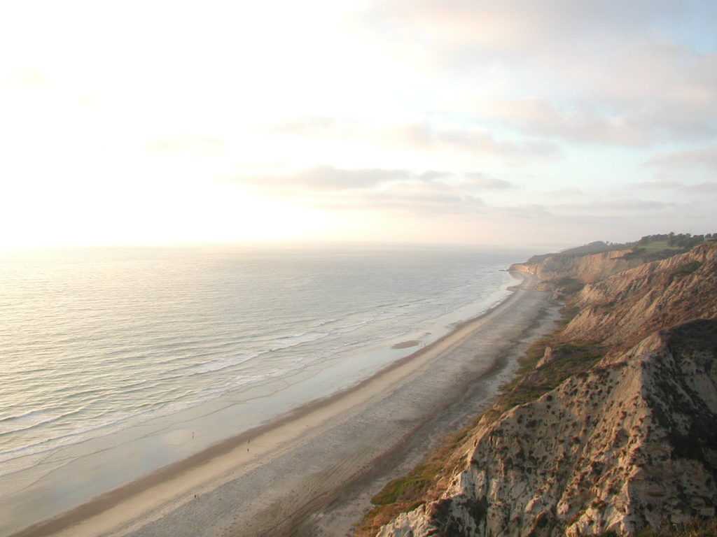 Homes For Sale Near Torrey Pines Beach